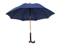 Το μέταλλο τοποθετεί αιχμή στις ασυνήθιστες ομπρέλες βροχής, περπατώντας τα πλευρά φίμπεργκλας ομπρελών καλάμων προμηθευτής
