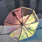 Σαφείς πλαστικές ομπρέλες βροχής Haft μετάλλων, διαφανής πλαστική λαβή ομπρελών βροχής προμηθευτής